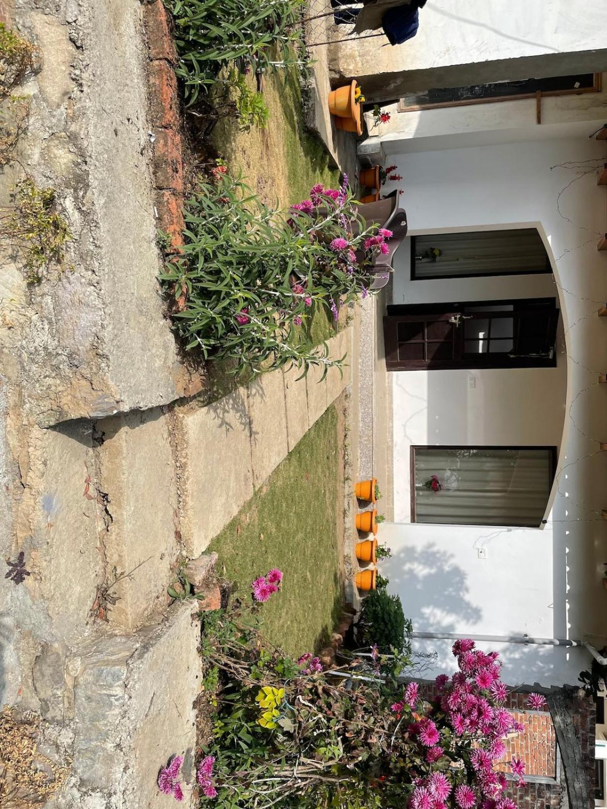 Kafal Tree Home Stay - Pet Friendly Bhowali Εξωτερικό φωτογραφία